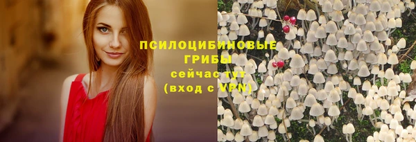 марки nbome Ельня